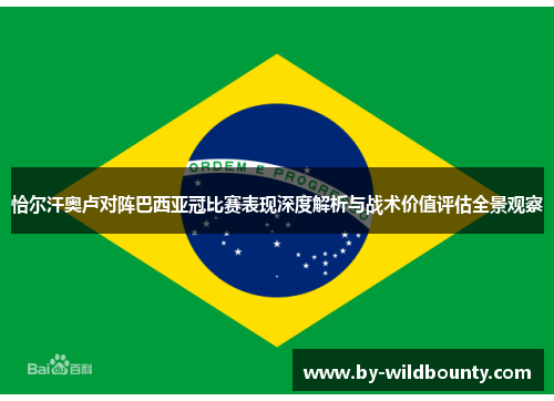 恰尔汗奥卢对阵巴西亚冠比赛表现深度解析与战术价值评估全景观察